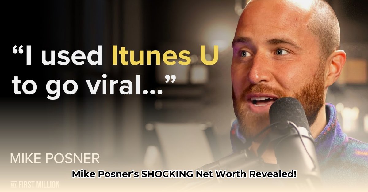 mike-posner-career-earnings